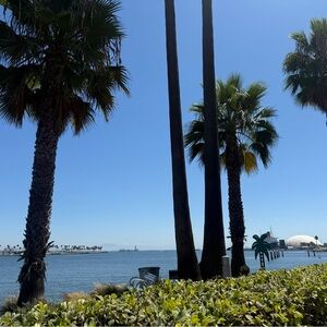 Meet your Posher, Temma